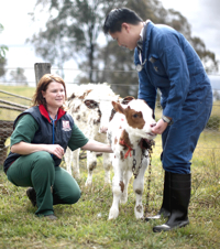 Image from University of Sydney updates Veterinary Science program