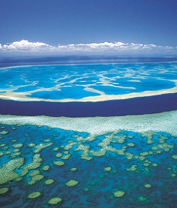 018206	Whitsundays	Hardy Reef, Great Barrier Reef
