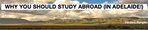 Image from Why You Should Study Abroad
